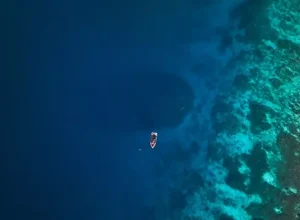 saveclip-app_466658874_1094459619019500_5260735125736548489_n-rhr5zi1sy3ax